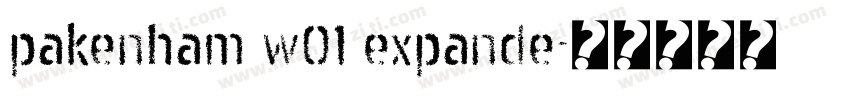 pakenham w01 expande字体转换